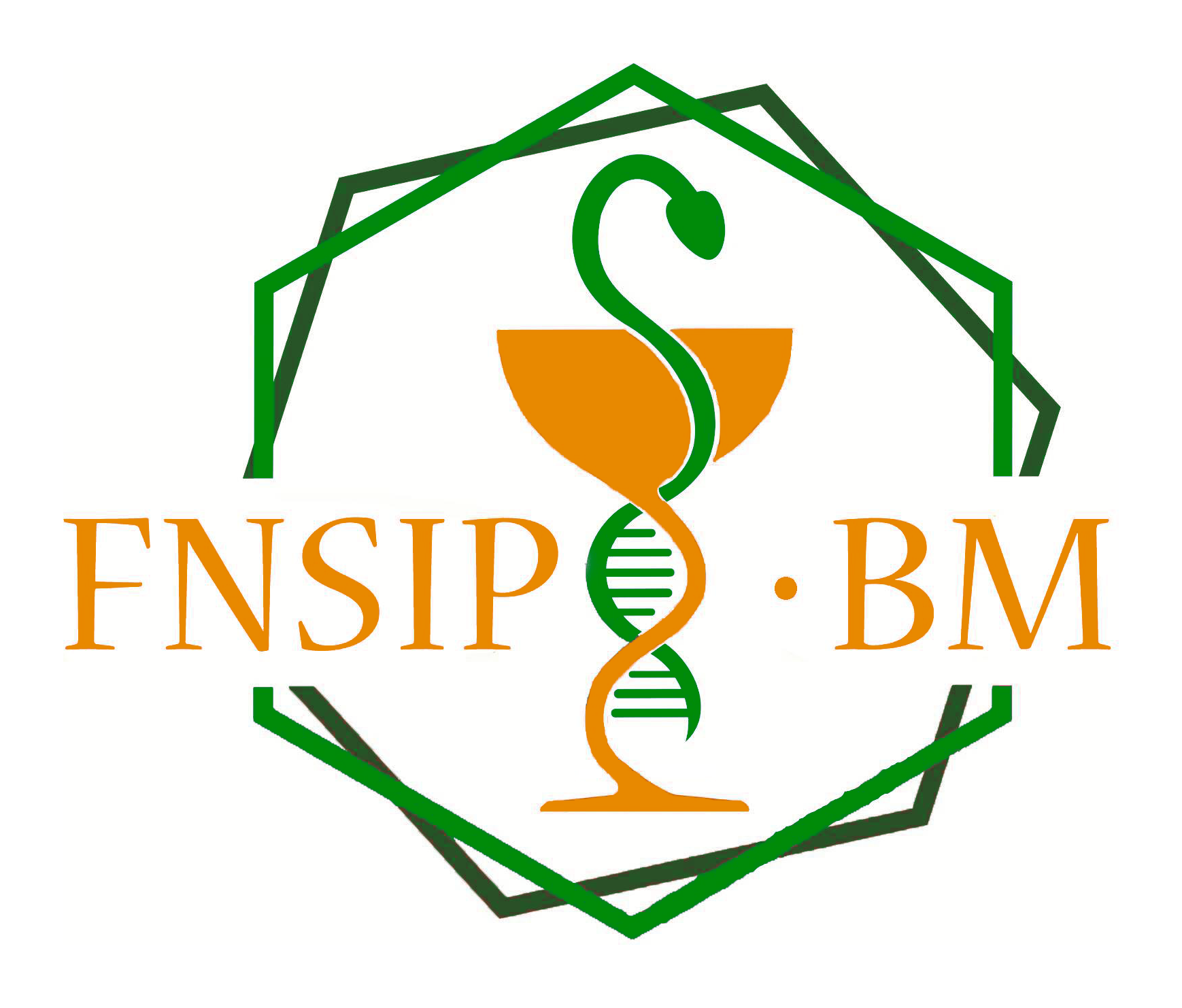 Logo FNSIP-BM
